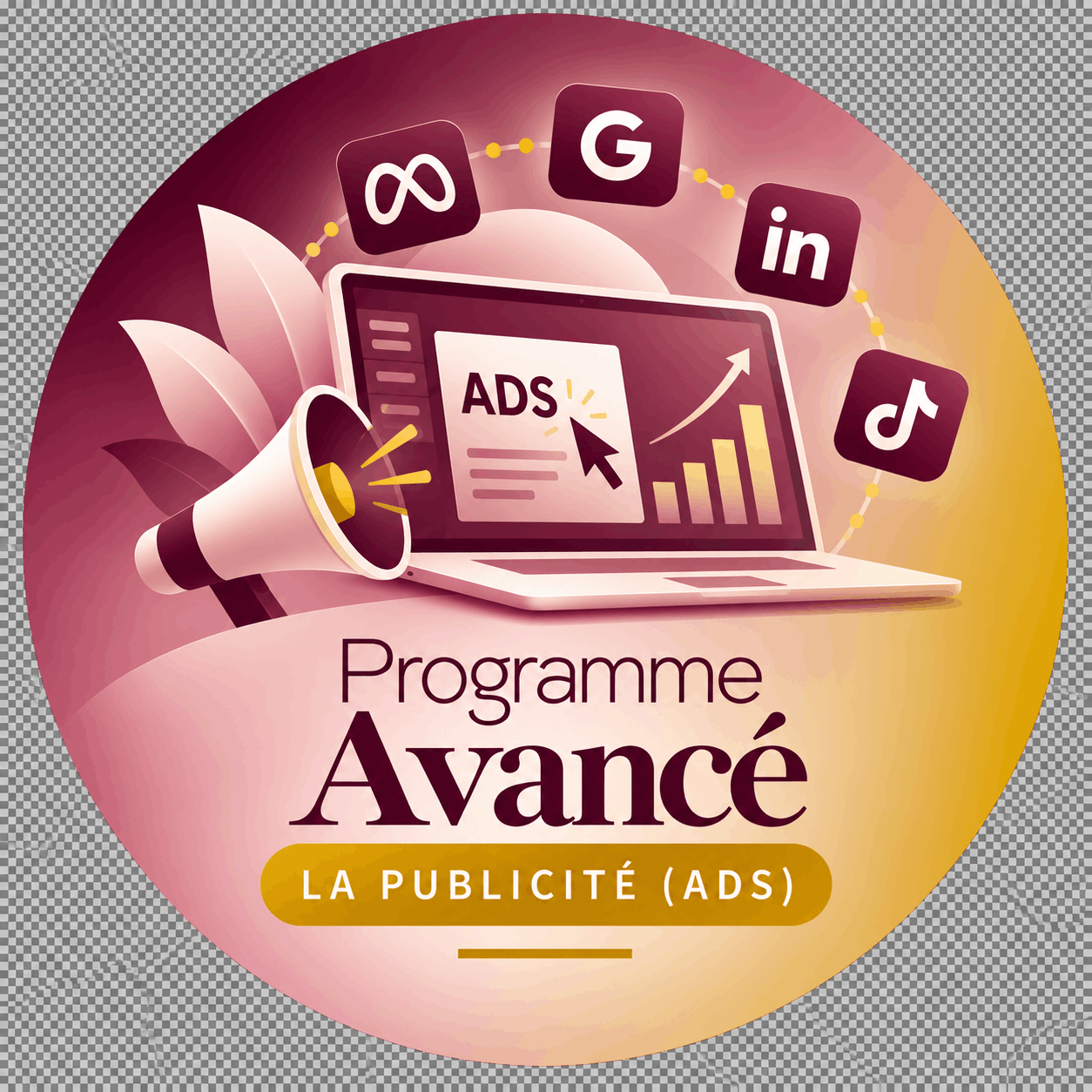 Programme avancé - publicité ads Programme avancé Publicité Ads