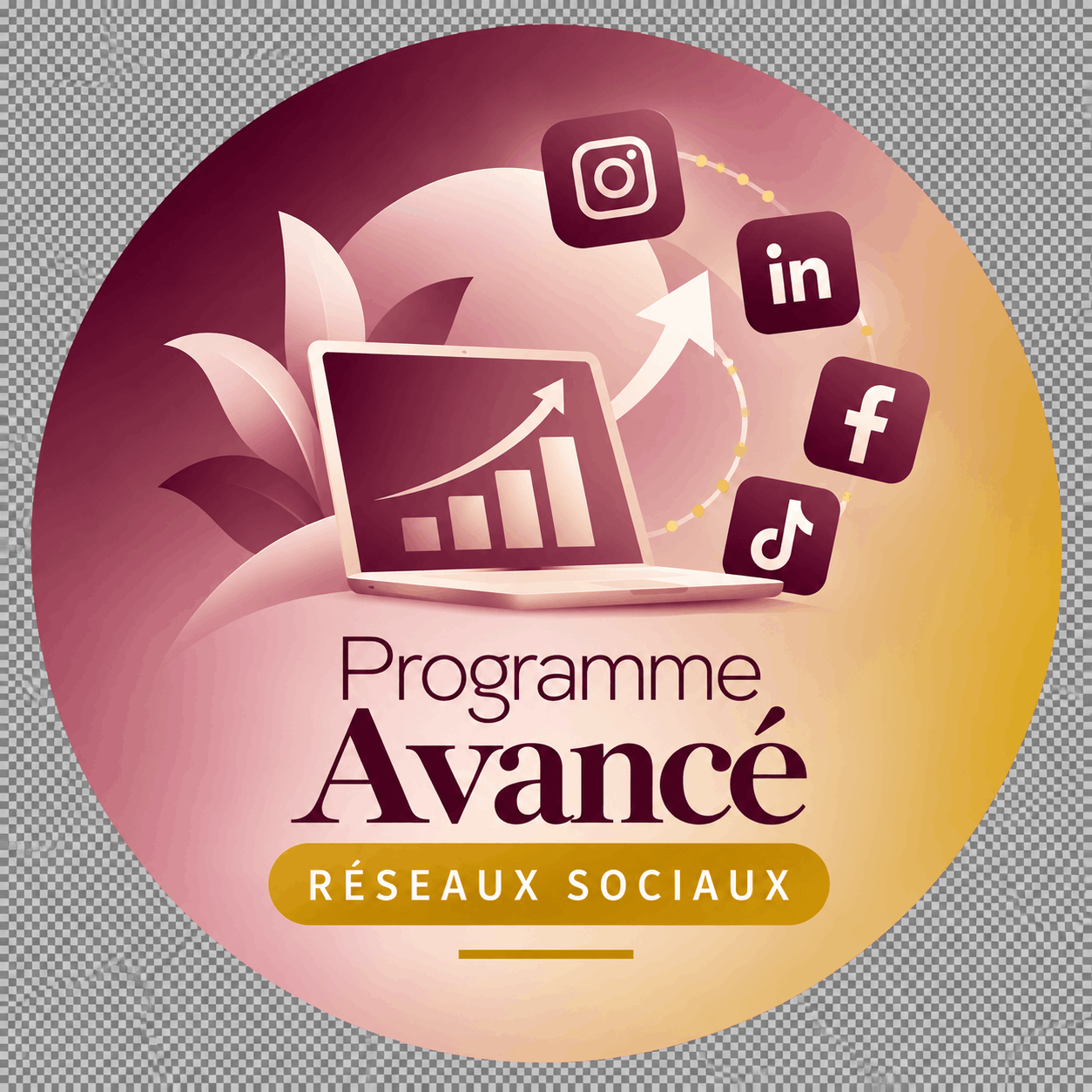 Programme avancé Réseaux Sociaux